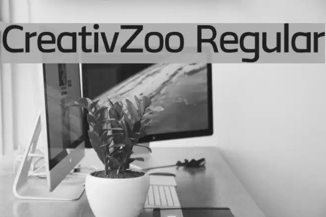 CreativZoo Regular Polices examples