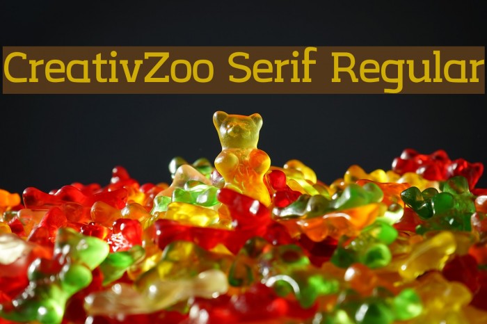 CreativZoo Serif Regular Font examples