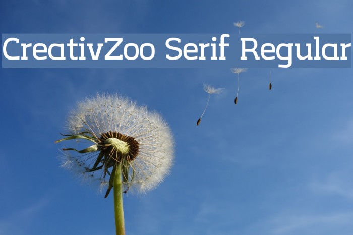 CreativZoo Serif Regular Font examples
