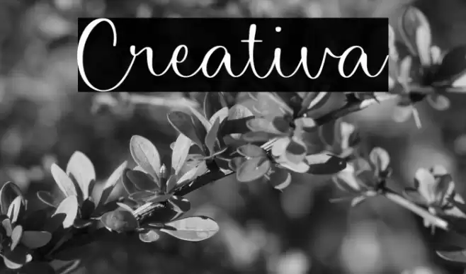 Creativa Font examples