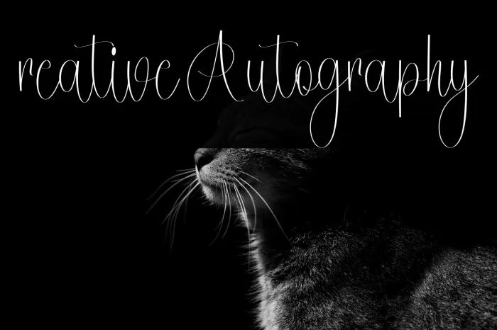 Creative Autography Example 2