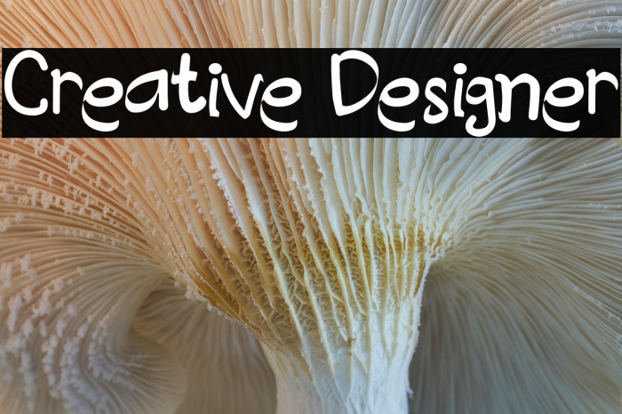 Creative Designer Example 2