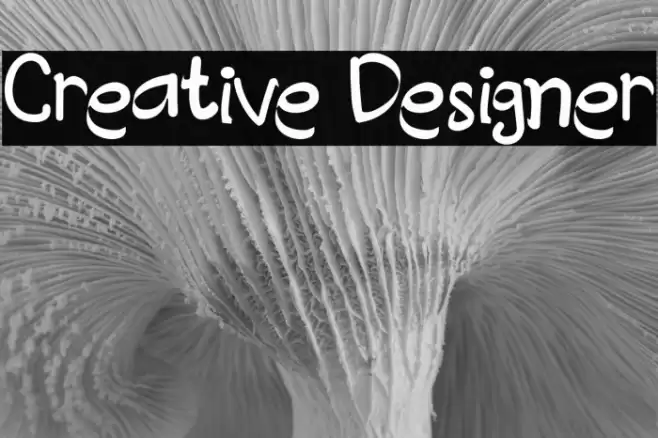 Creative Designer Font examples