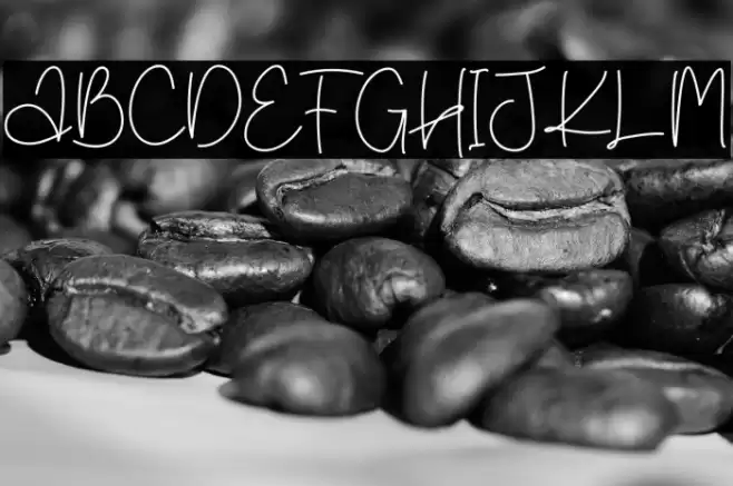 Creative Diary Font examples