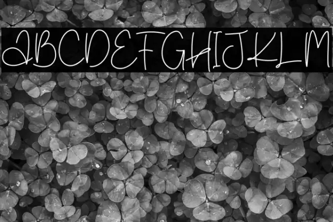 Creative Diary Font examples