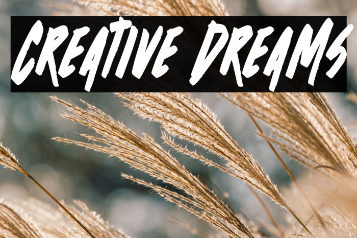 Creative Dreams Example 3