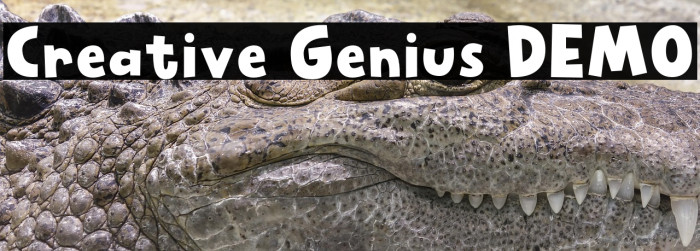 Creative Genius DEMO Example 3