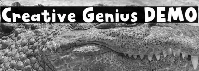 Creative Genius DEMO フォント examples