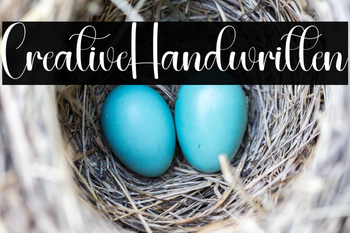 Creative Handwritten Example 1