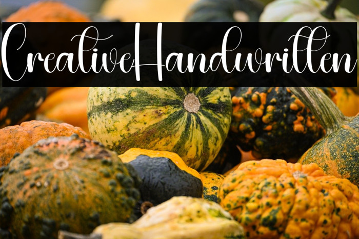 Creative Handwritten Example 3