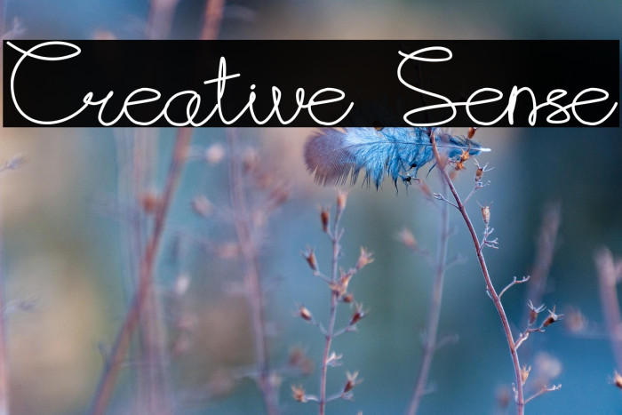 Creative Sense Example 2