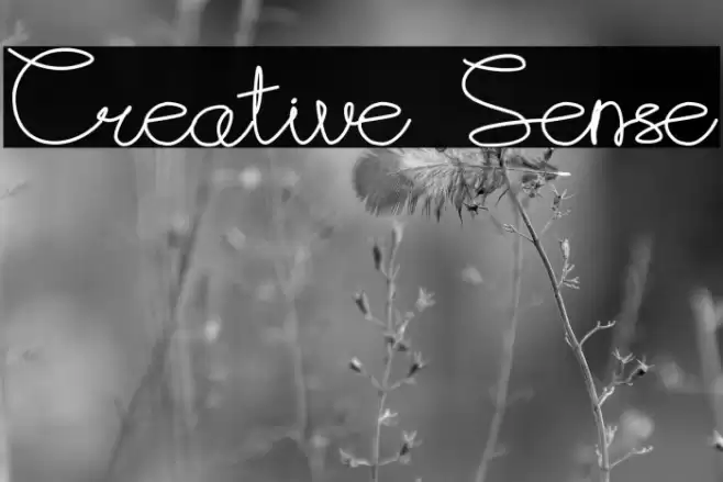 Creative Sense Font examples