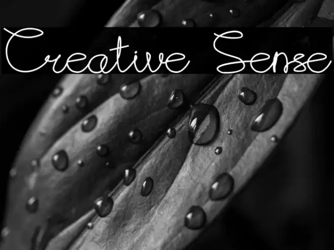 Creative Sense Font examples