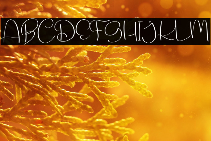 Creative Signature Example 3