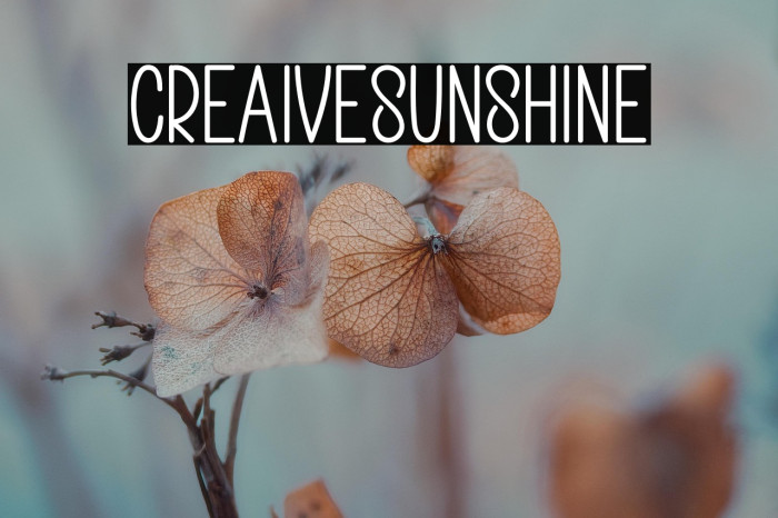 Creative Sunshine Example 2