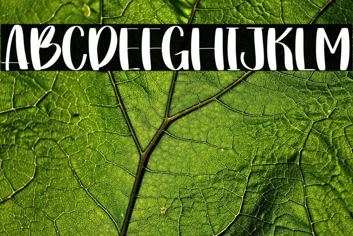 Creative Winter Example 1