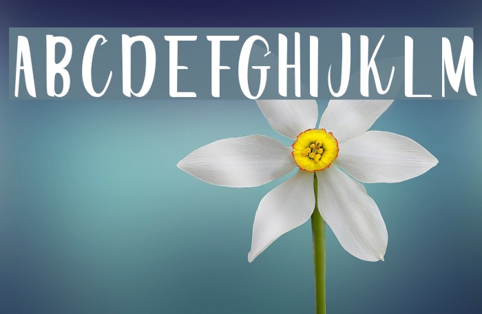 CreativeWordRegular Font examples
