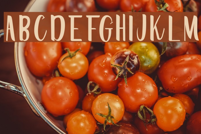 CreativeWordRegular Font examples
