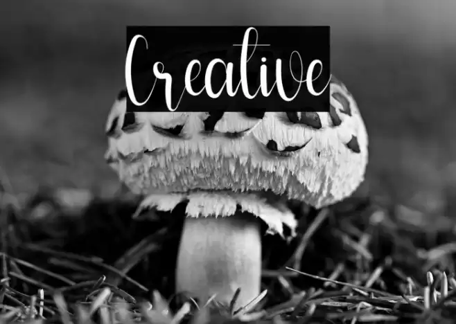 Creative Font examples