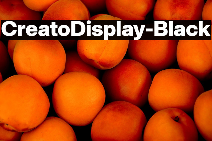 CreatoDisplay-Black Example 1