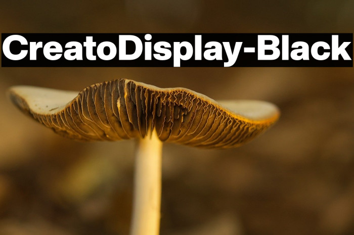 CreatoDisplay-Black Example 3