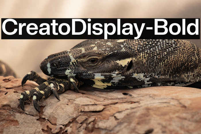 CreatoDisplay-Bold Example 2