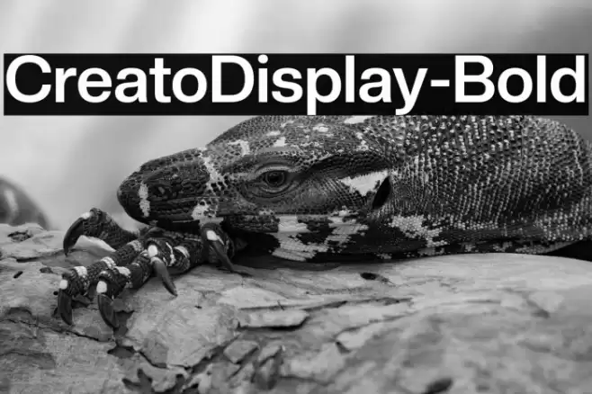 CreatoDisplay-Bold Font examples