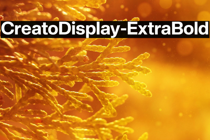 CreatoDisplay-ExtraBold Example 2