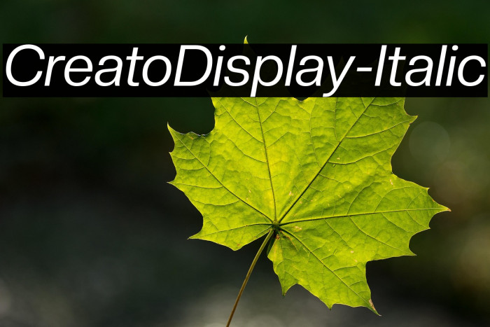 CreatoDisplay-Italic Example 3