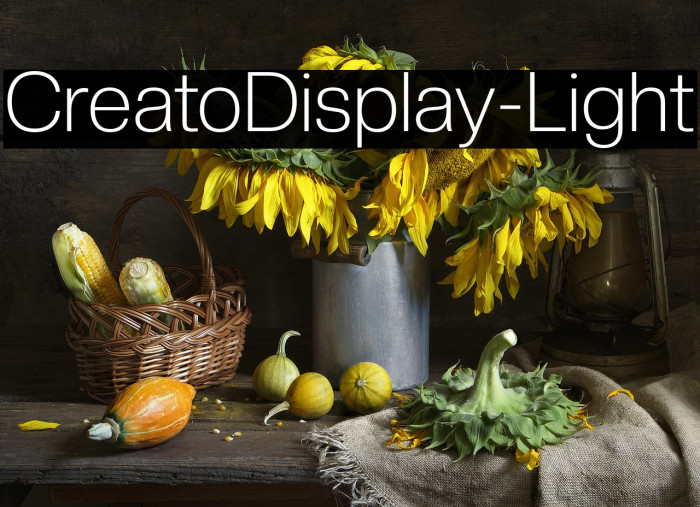 CreatoDisplay-Light Example 1