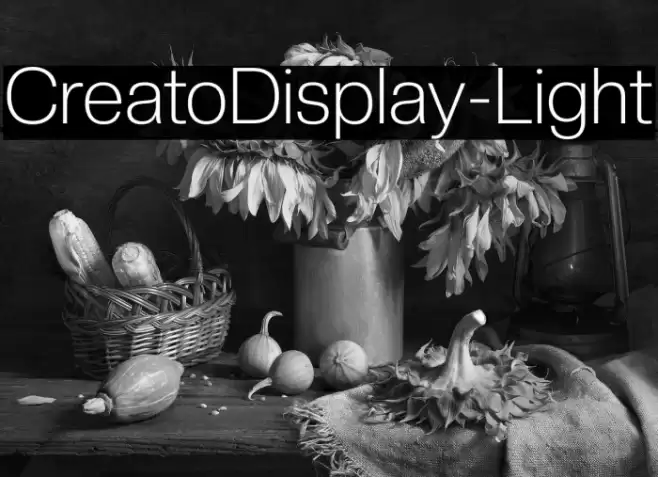 CreatoDisplay-Light Font examples