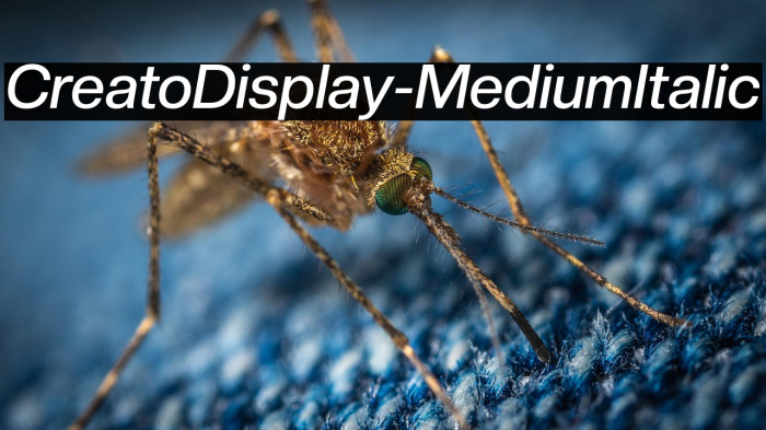 CreatoDisplay-MediumItalic Example 1