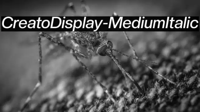 CreatoDisplay-MediumItalic Font examples