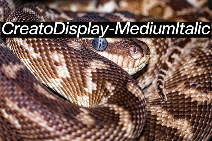 CreatoDisplay-MediumItalic Example 2