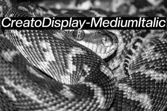 CreatoDisplay-MediumItalic Font examples