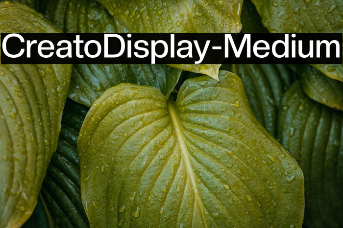 CreatoDisplay-Medium Example 2