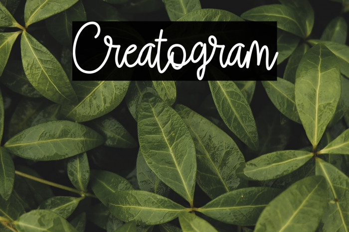 Creatogram Example 2