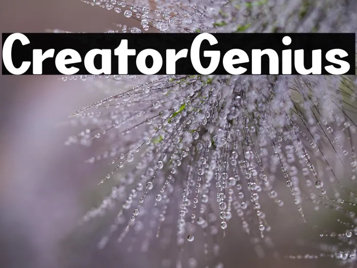 Creator Genius Example 2