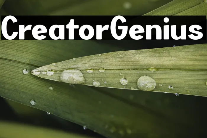 Creator Genius Example 3