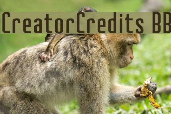CreatorCredits BB Example 2