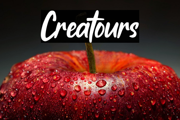 Creatours Example 3