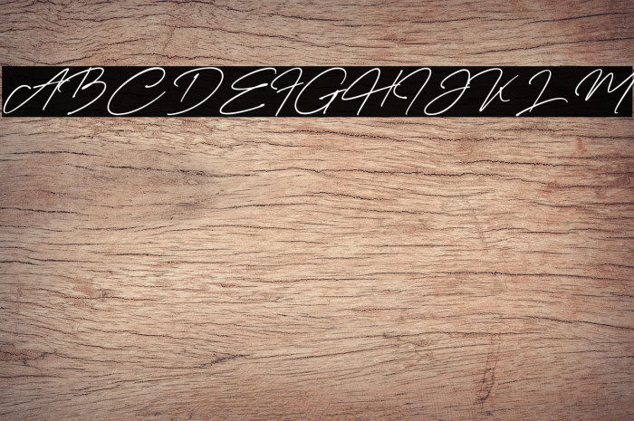 Creattion Demo Example 1