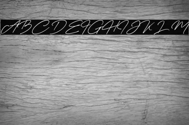 Creattion Demo Fuentes examples