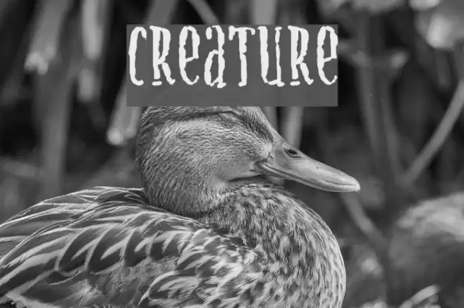 Creature Font examples