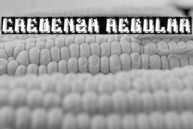 Credenza Regular Font examples