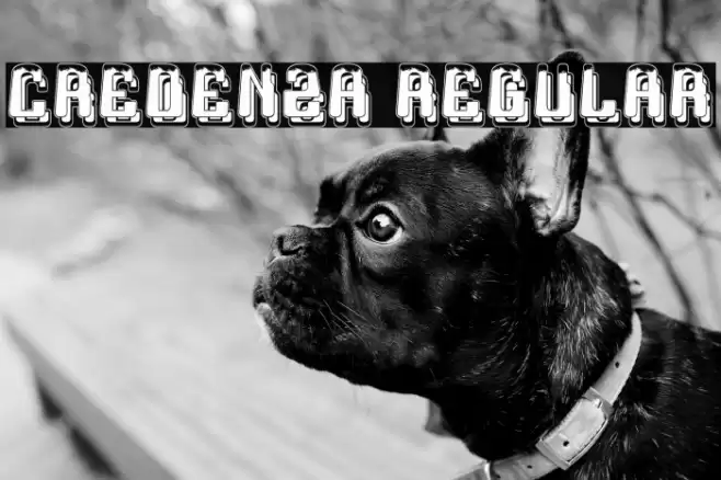 Credenza Regular Font examples