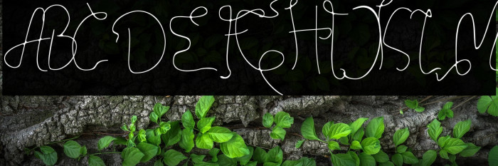 Credibility Example 1