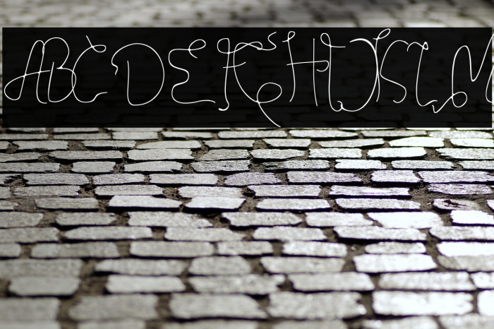 Credibility Example 3