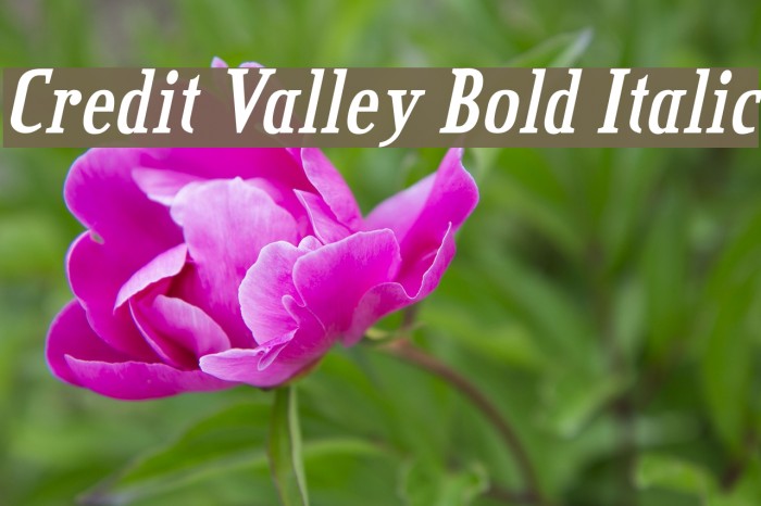 Credit Valley Bold Italic Font examples