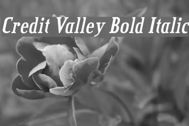 Credit Valley Bold Italic خط examples